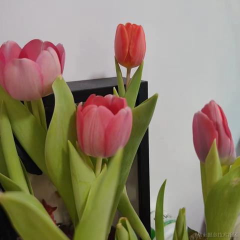 流浪小狗于2024-03-08 11:26发布的图片