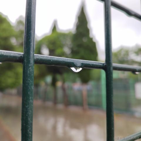 日月昭昭于2023-04-23 14:53发布的图片