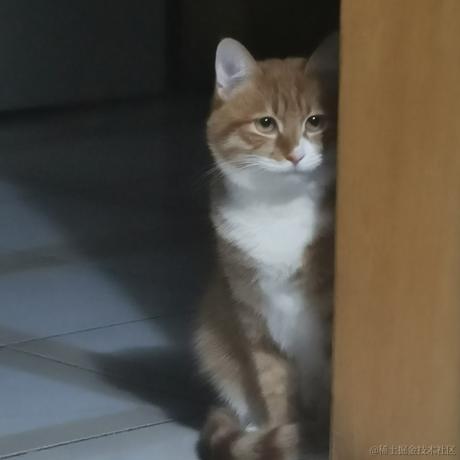 柒弎于2022-11-29 14:14发布的图片