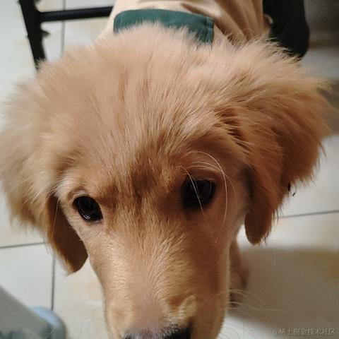 LGX_TvT于2023-01-13 12:27发布的图片