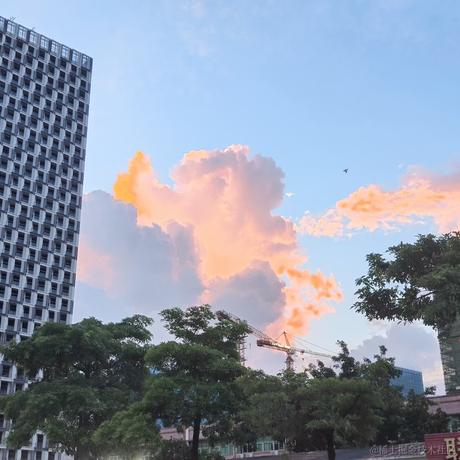 喵喵冷场王于2023-06-28 14:22发布的图片