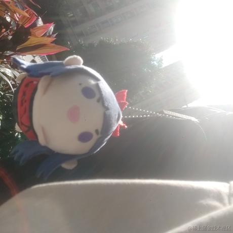 拉姐的宝贝于2022-11-12 18:43发布的图片