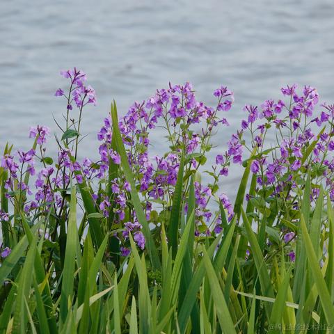 优秀稳妥的金枪小魔王于2023-03-27 10:41发布的图片