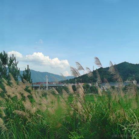 煎饼枸子于2022-12-12 20:29发布的图片