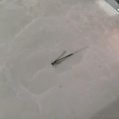 寄篱于2023-07-24 07:17发布的图片