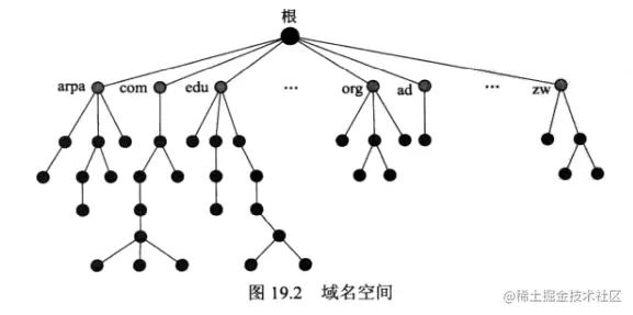 image-20210203230236194.png