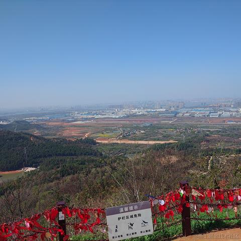 老飞棍于2023-03-19 02:38发布的图片