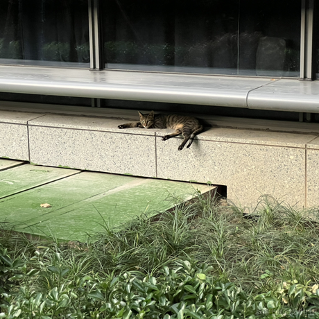 泊浮目于2022-07-07 19:12发布的图片