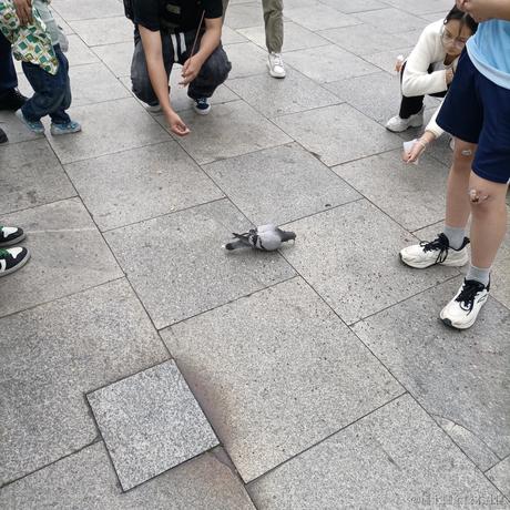 兔子加油于2023-05-01 00:25发布的图片