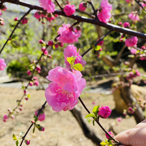 lizheming于2021-03-29 13:45发布的图片