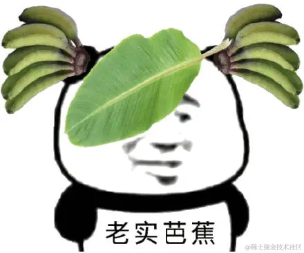 老实芭蕉.jpg