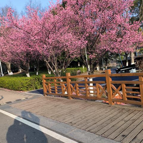 是小刘于2023-04-10 16:28发布的图片