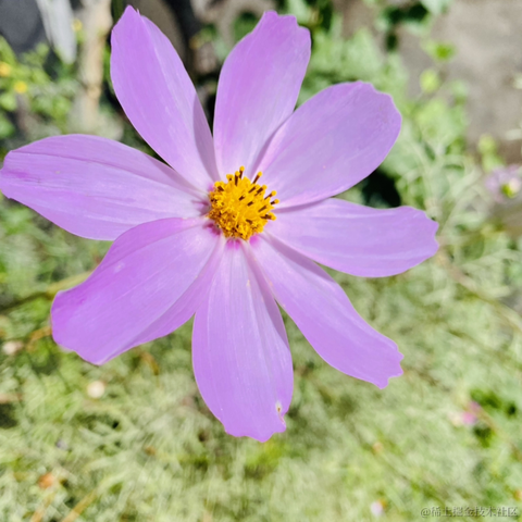 摄氏40度于2021-09-22 09:29发布的图片