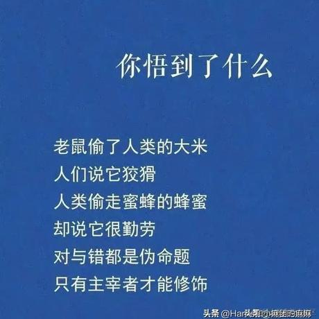 代码大师于2023-04-11 21:48发布的图片