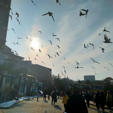 香草味小晚于2022-11-23 08:56发布的图片