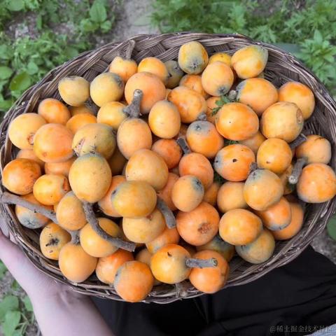 一只眼镜猫于2023-05-15 13:54发布的图片