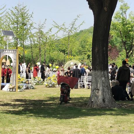 无色辉火于2023-06-24 19:51发布的图片