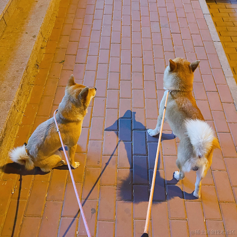 唐戴斯于2021-05-19 22:31发布的图片