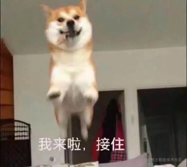 狗00052-我来啦-接住.jpg