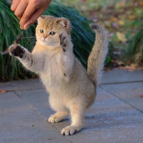 我4倒霉蛋于2022-11-22 09:12发布的图片