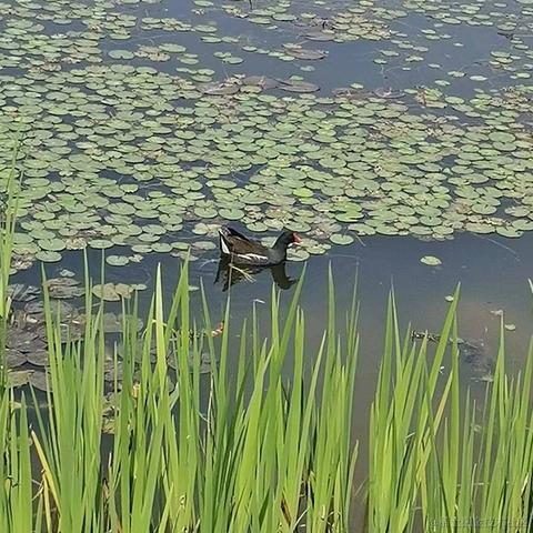 已注销于2021-03-25 17:41发布的图片