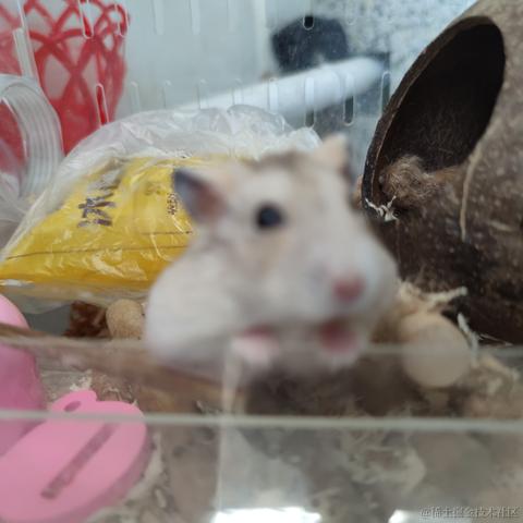 albri于2022-11-24 19:21发布的图片