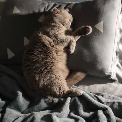 抖音开放平台于2021-10-28 14:21发布的图片