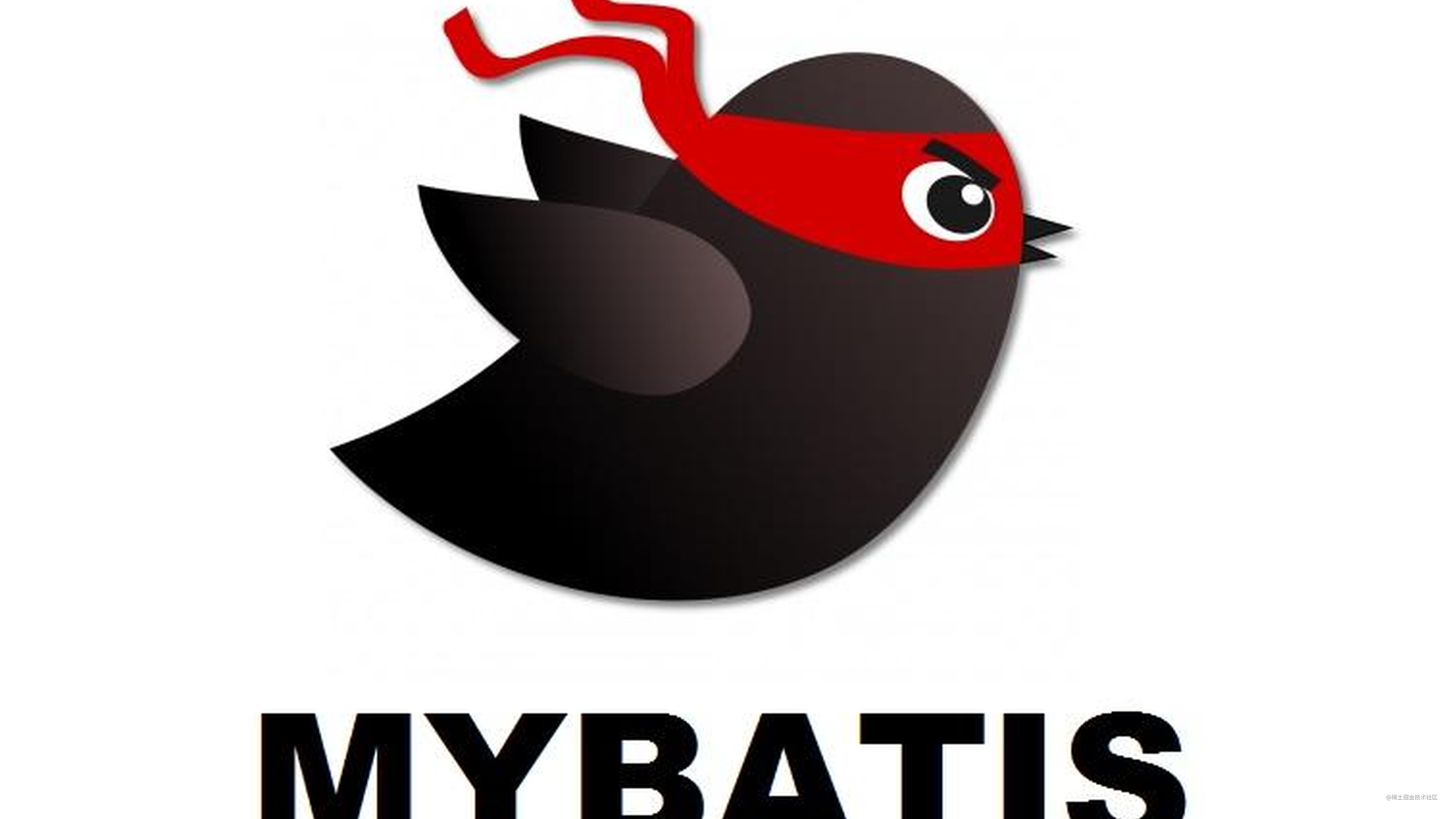 Mybatis开发要点：resultType和resultMap的区别？