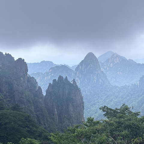 new_s于2023-07-10 07:48发布的图片