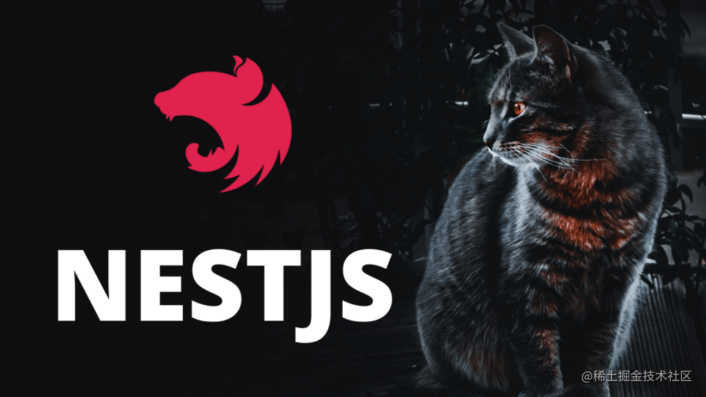 Nestjs全网最佳翻译，你值得拥有