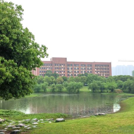 CtrlC800于2023-04-29 13:26发布的图片