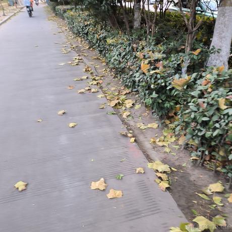 贝拉今天打什么于2022-12-19 07:24发布的图片