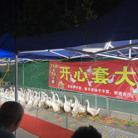 你说这是为什么于2023-05-16 00:21发布的图片