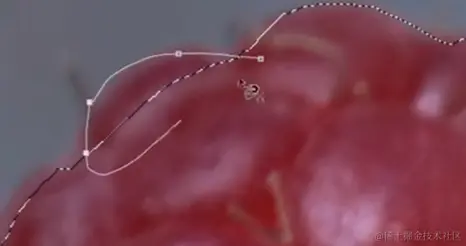 屏幕截图 2024-04-12 175633.png