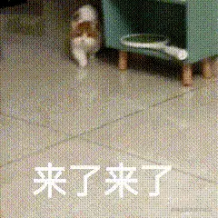 3_dd1a11af2e6e4d9efba55fb6d3db98da.gif