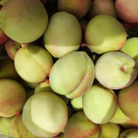 pdudo于2023-06-23 14:03发布的图片