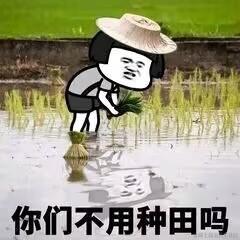 node_modules_r于2022-11-22 14:54发布的图片