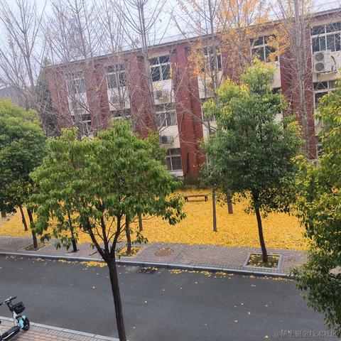 蓝莓南瓜派于2022-12-03 17:49发布的图片