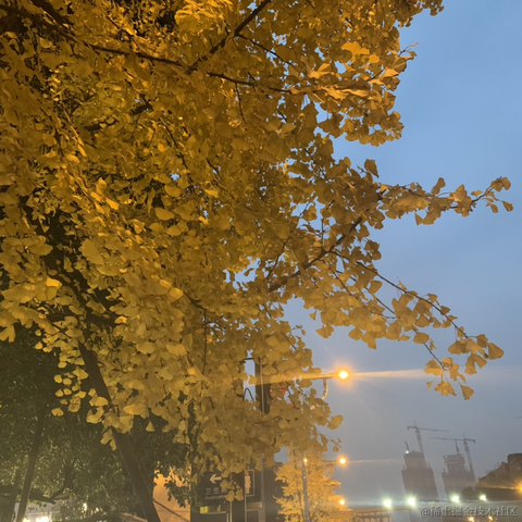 前端咸鱼2于2022-12-26 08:22发布的图片