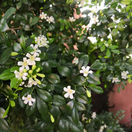 归去来别重名于2022-12-11 11:20发布的图片