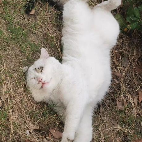 爱ava的钻头于2022-11-12 09:10发布的图片