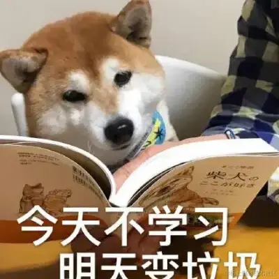 五千寻于2022-09-01 14:01发布的图片