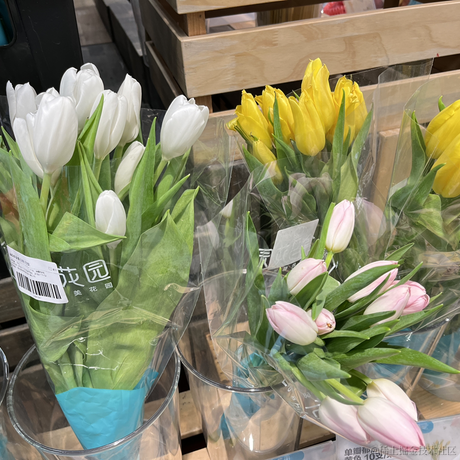 好的好于2022-11-17 19:19发布的图片