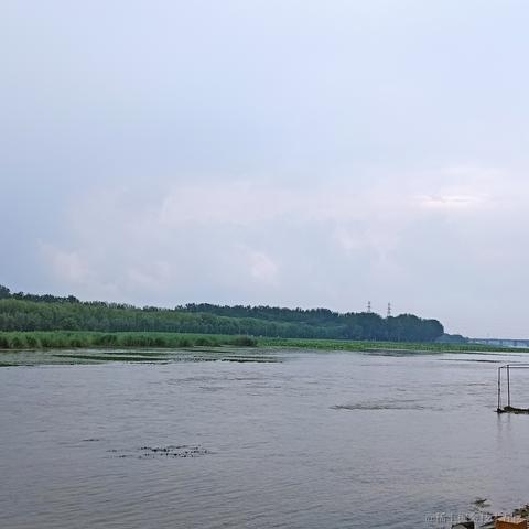 元一把于2021-07-22 19:17发布的图片