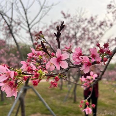 我想中奖于2023-03-19 16:36发布的图片
