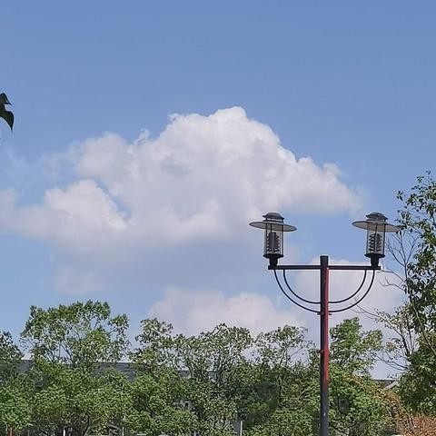 王痘痘于2023-06-26 19:31发布的图片