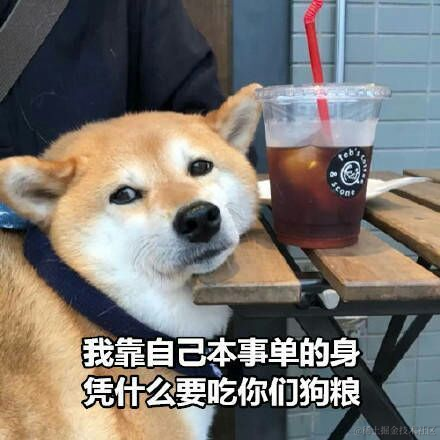 孤立无援又如何于2021-11-25 08:21发布的图片