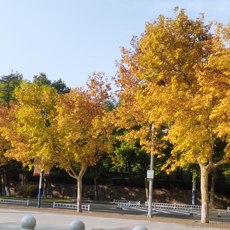 叮咚咚咚于2022-10-21 23:25发布的图片