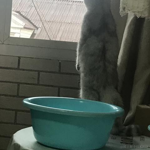 一只小菠萝于2021-10-27 17:20发布的图片