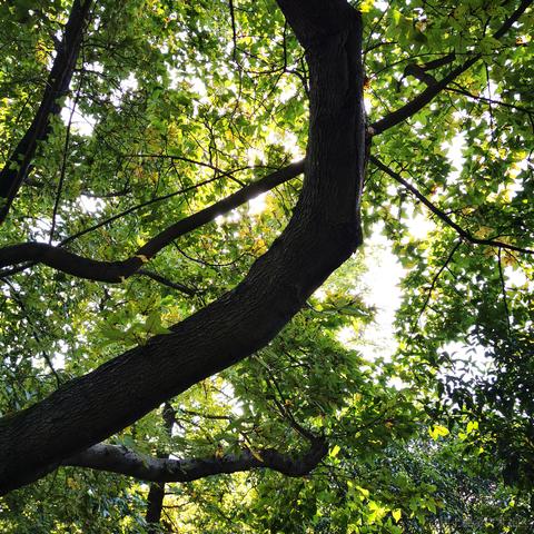 小白7码于2020-10-23 12:13发布的图片